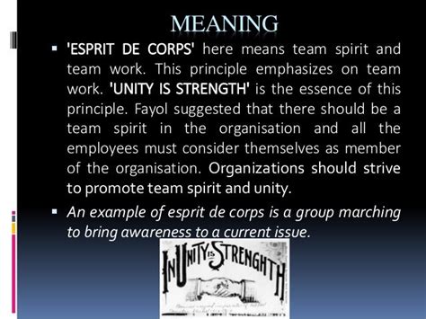 army esprit de corps meaning